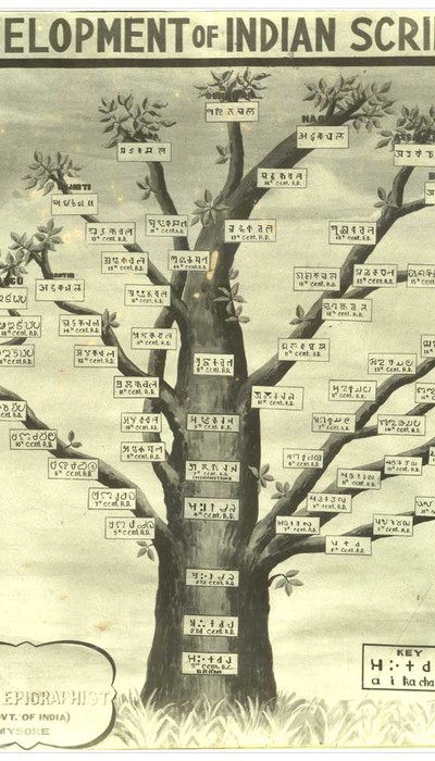 Image Source: ciillibrary.org