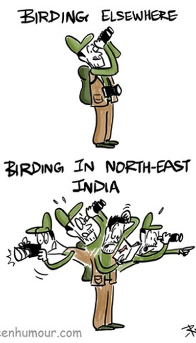Birding