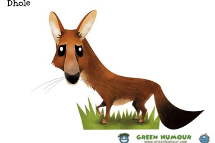 Dhole