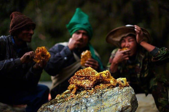 The tribe feasting on their harvest. Image Source: Andrew Newey The tribe feasting on their harvest. Image Source: Andrew Newey