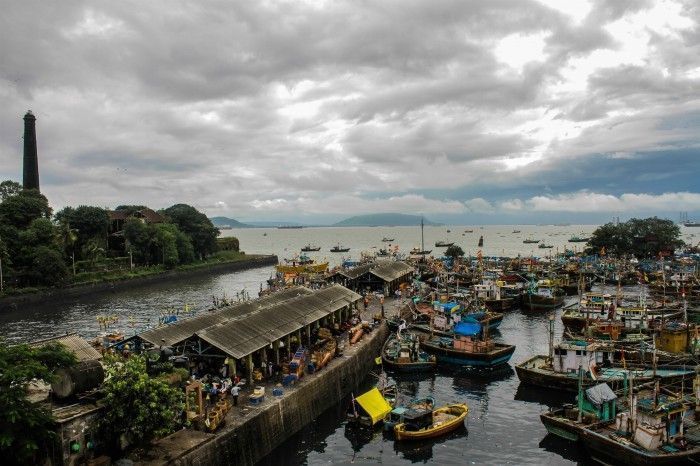 The usual sight as Sassoon Docks. Photograph by: Pranav Gohil The usual sight as Sassoon Docks. Photograph by: Pranav Gohil