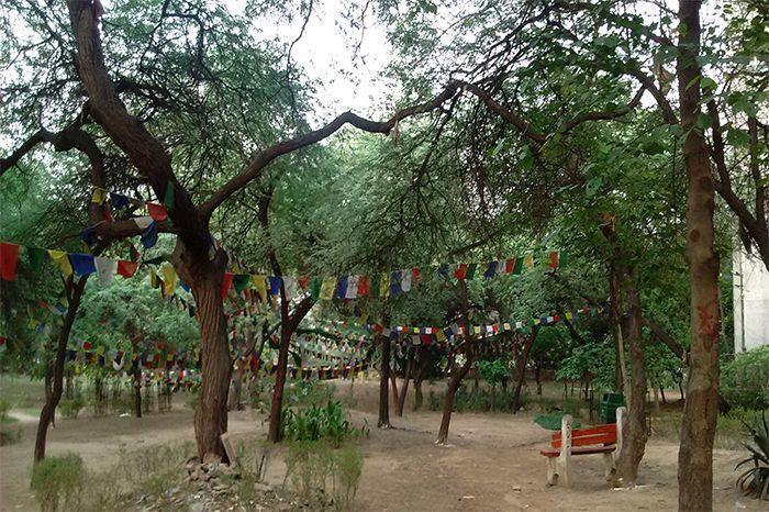 Majnu Ka Tilla Park; photographed by Lucas Batista