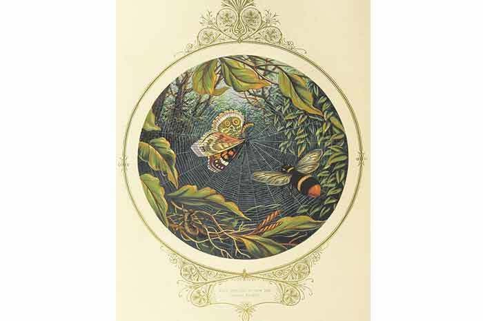 Image Credit: The British Library Image Credit: The British Library