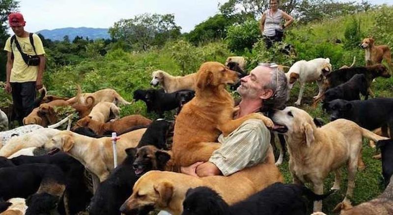 A Sanctuary In Costa Rica Houses Over 900 Abandoned Stray